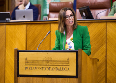  Roco Daz, consejera de Fomento, Articulacin del Territorio y Vivienda, interviene ante el Pleno