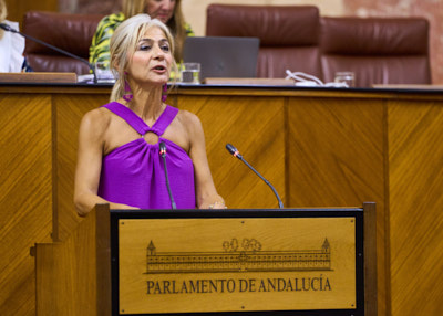  La consejera de Desarrollo Educativo y Formacin Profesional, Patricia del Pozo, comparece ante el Pleno de la Cmara para informar sobre el inicio del curso escolar 2023-2024