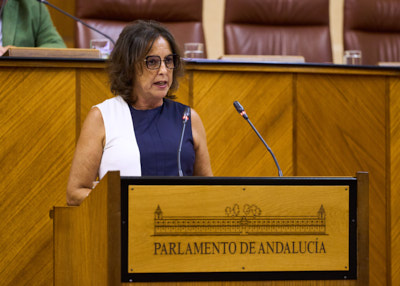   La consejera de Salud y Consumo, Catalina Garca, comparece ante el Pleno