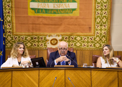    El presidente del Parlamento, Jess Aguirre, junto a las vicepresidentas Ana Mara Mestre e Irene Garca, al inicio de la sesin plenaria 