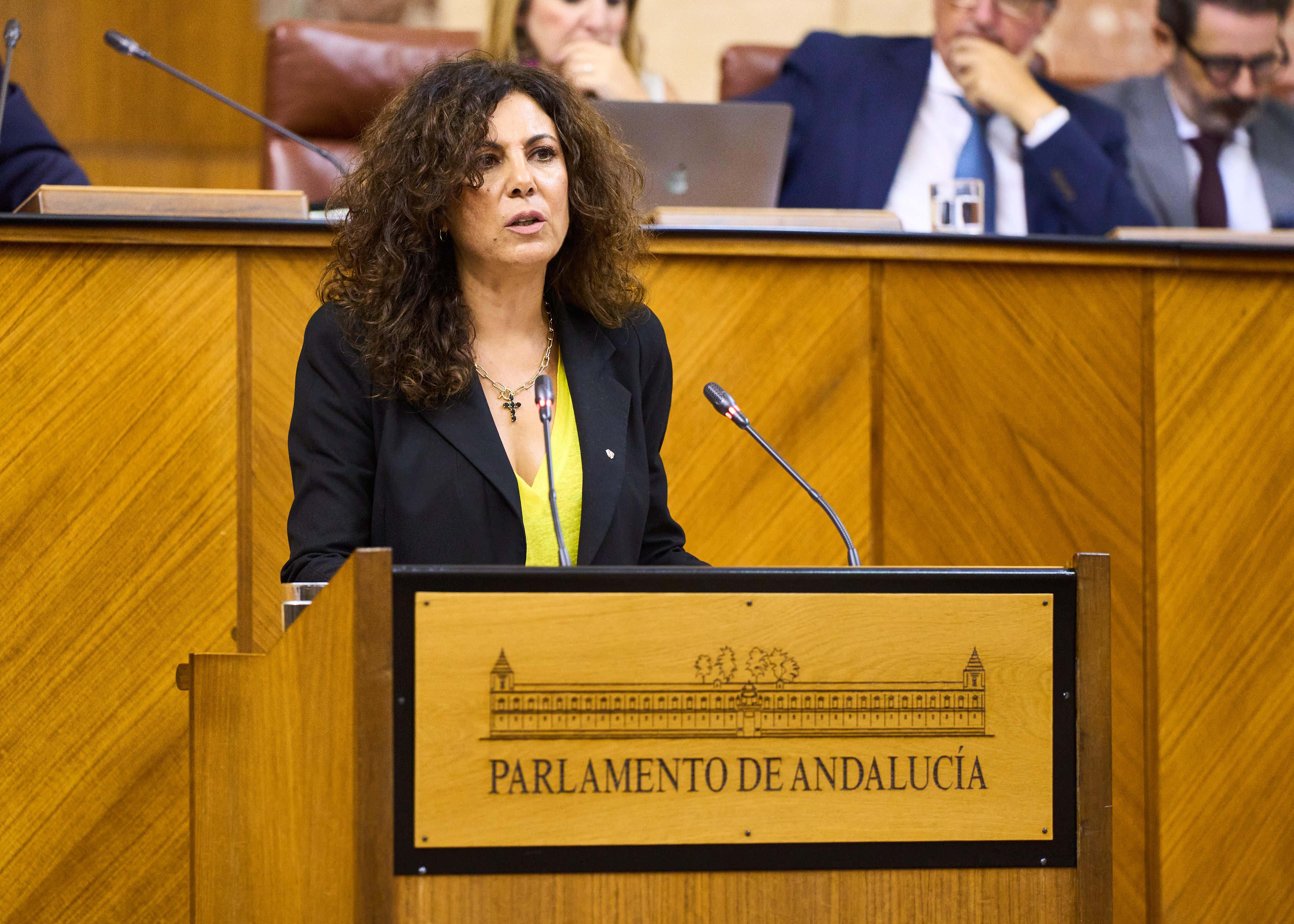   Ana Mara Ruiz interviene en representacin de Vox en el debate sobre el convenio de colaboracin entre la Comunidad Autnoma de Andaluca y la Ciudad Autnoma de Ceuta para el traslado de nios, nias y adolescentes migrantes no acompaados en situacin de contingencia migratoria