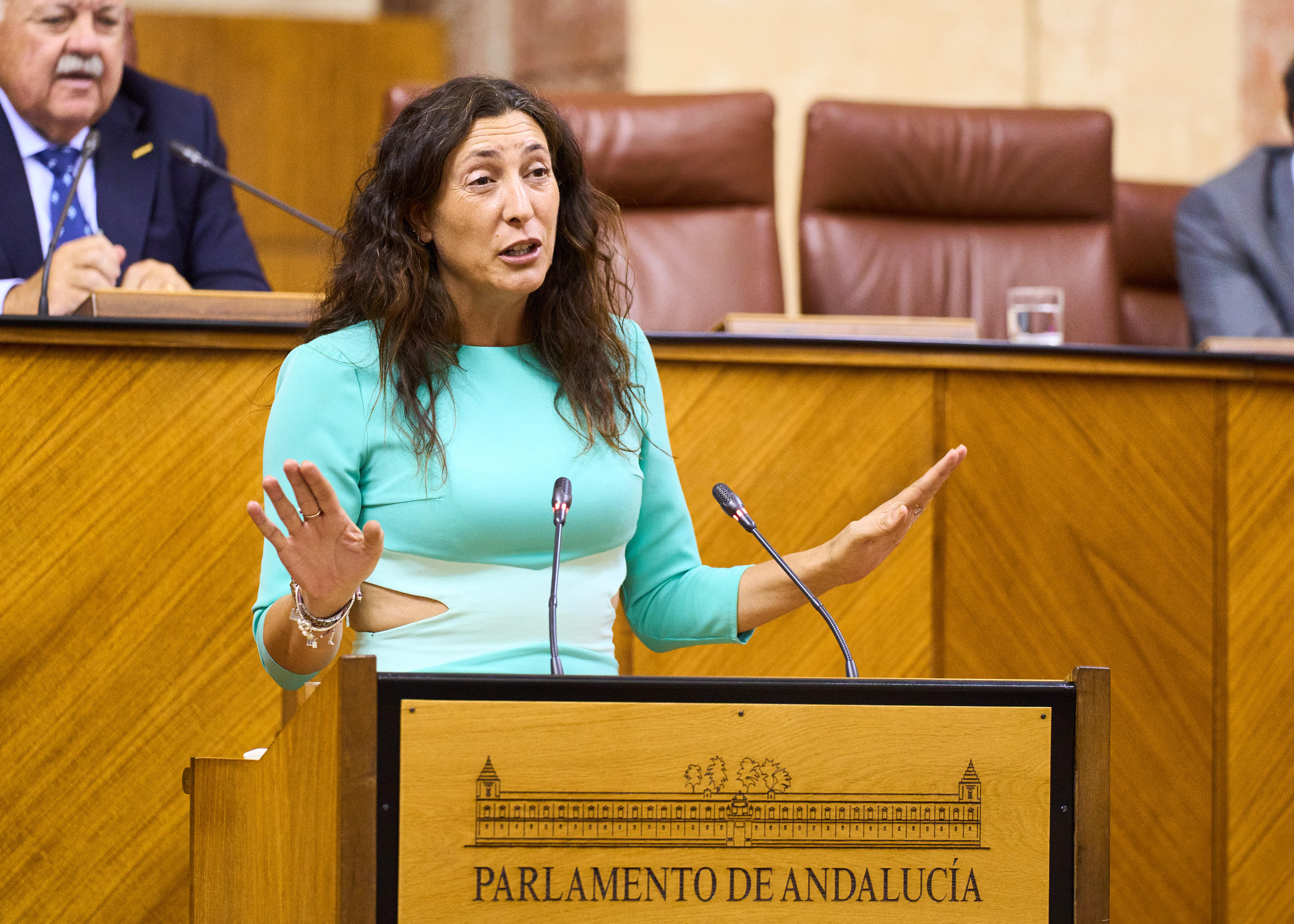    La consejera de Inclusin Social, Juventud, Familias e Igualdad, Loles Lpez, cierra el debate sobre el convenio de colaboracin entre la Comunidad Autnoma de Andaluca y la Ciudad Autnoma de Ceuta para el traslado de nios, nias y adolescentes migrantes no acompaados en situacin de contingencia migratoria