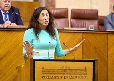    La consejera de Inclusin Social, Juventud, Familias e Igualdad, Loles Lpez, cierra el debate sobre el convenio de colaboracin entre la Comunidad Autnoma de Andaluca y la Ciudad Autnoma de Ceuta para el traslado de nios, nias y adolescentes migrantes no acompaados en situacin de contingencia migratoria
