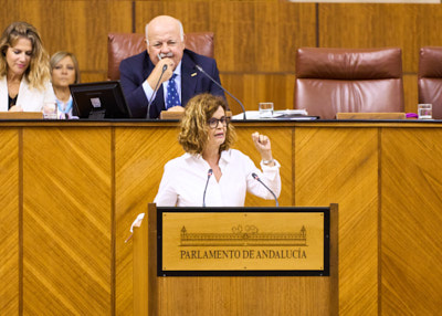  Esperanza Gmez, de Por Andaluca, posiciona a su grupo en el debate conjunto de los proyectos de ley de reconocimiento de las universidades privadas
