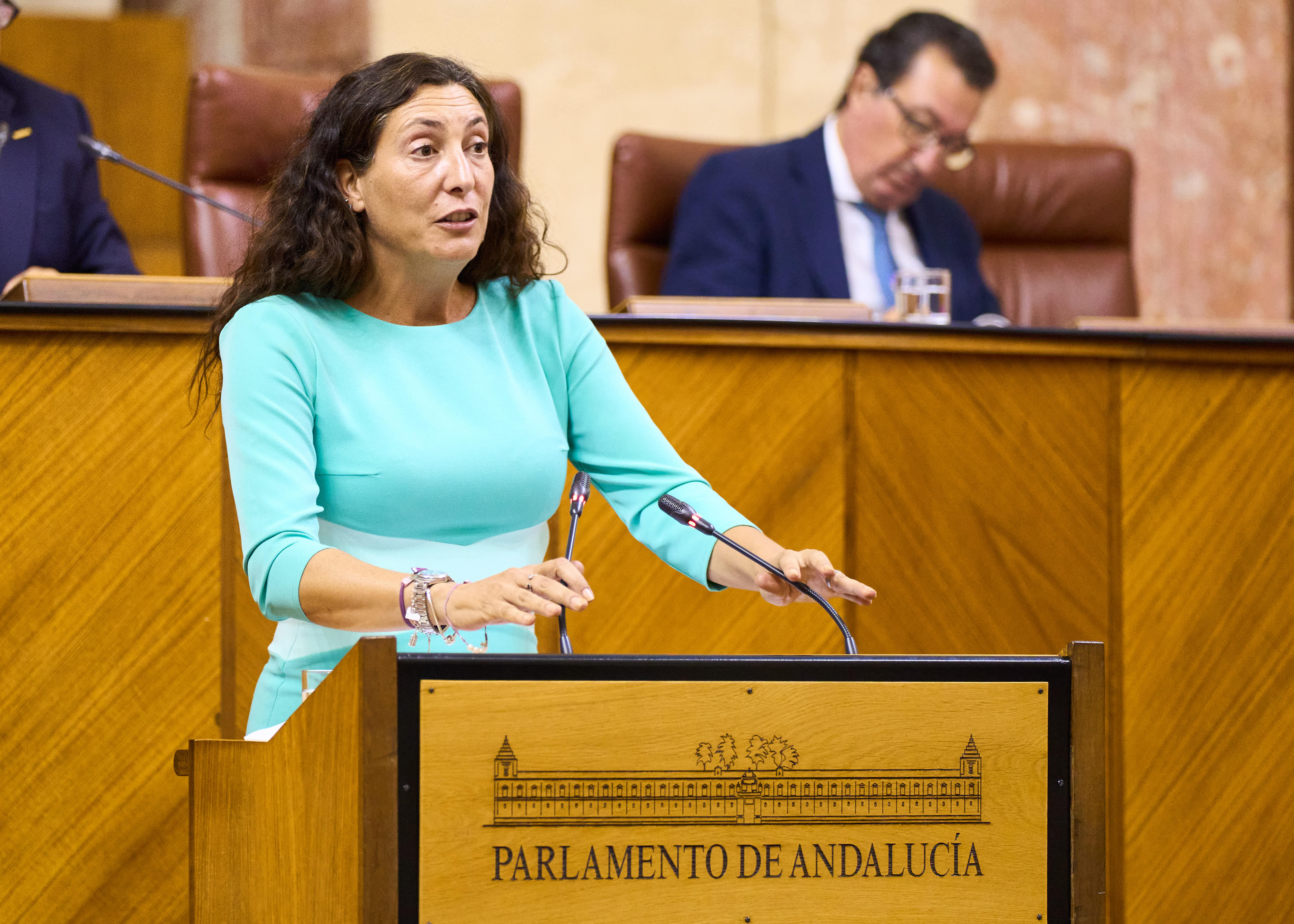   La consejera de Inclusin Social, Juventud, Familias e Igualdad, Loles Lpez, comparece para informar sobre las medidas que est llevando a cabo su consejera para la lucha contra la violencia de gnero 