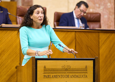   La consejera de Inclusin Social, Juventud, Familias e Igualdad, Loles Lpez, comparece para informar sobre las medidas que est llevando a cabo su consejera para la lucha contra la violencia de gnero 
