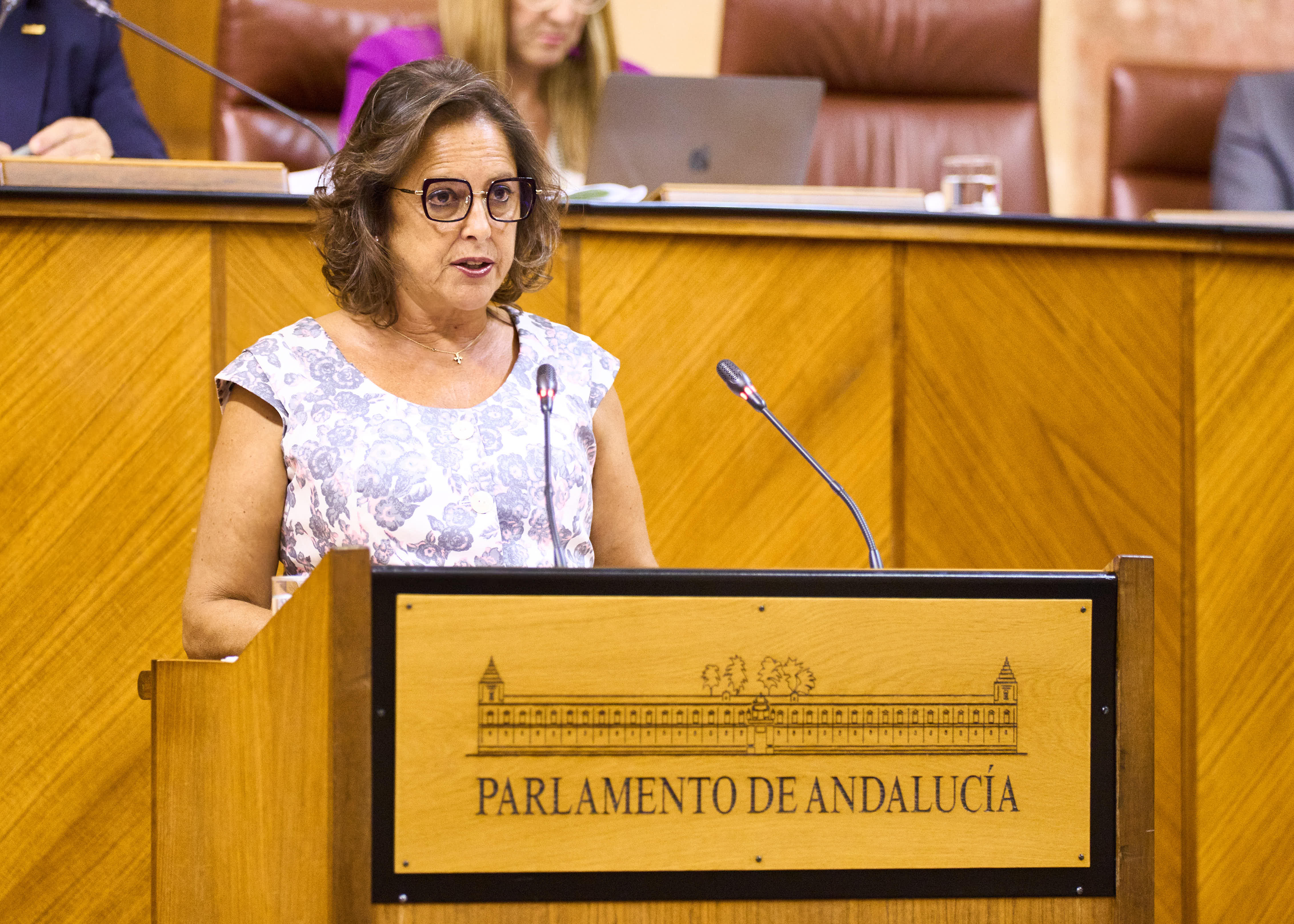   Catalina Garca, consejera de Salud y Consumo, interviene ante el Pleno para informar sobre el Plan Verano en la sanidad pblica de Andaluca