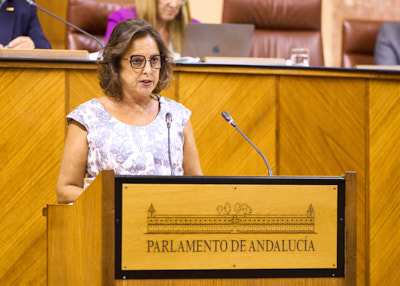   Catalina Garca, consejera de Salud y Consumo, interviene ante el Pleno para informar sobre el Plan Verano en la sanidad pblica de Andaluca