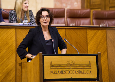   Susana Rivas, del Grupo Socialista, presenta una mocin relativa a poltica general en materia de educacin no universitaria