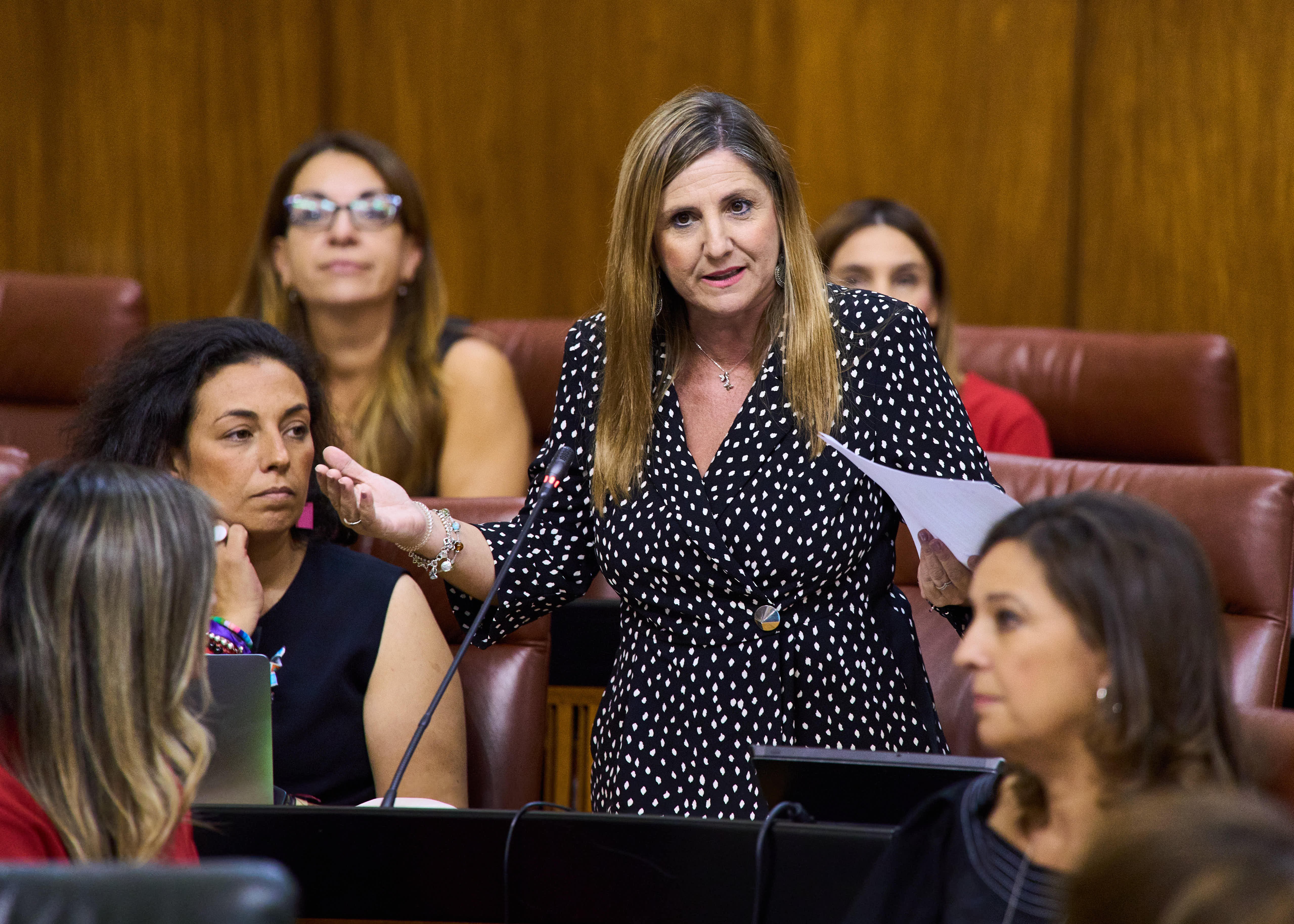  Irene Garca Macas, del Grupo Socialista, formula una pregunta