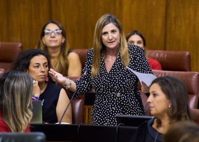  Irene Garca Macas, del Grupo Socialista, formula una pregunta