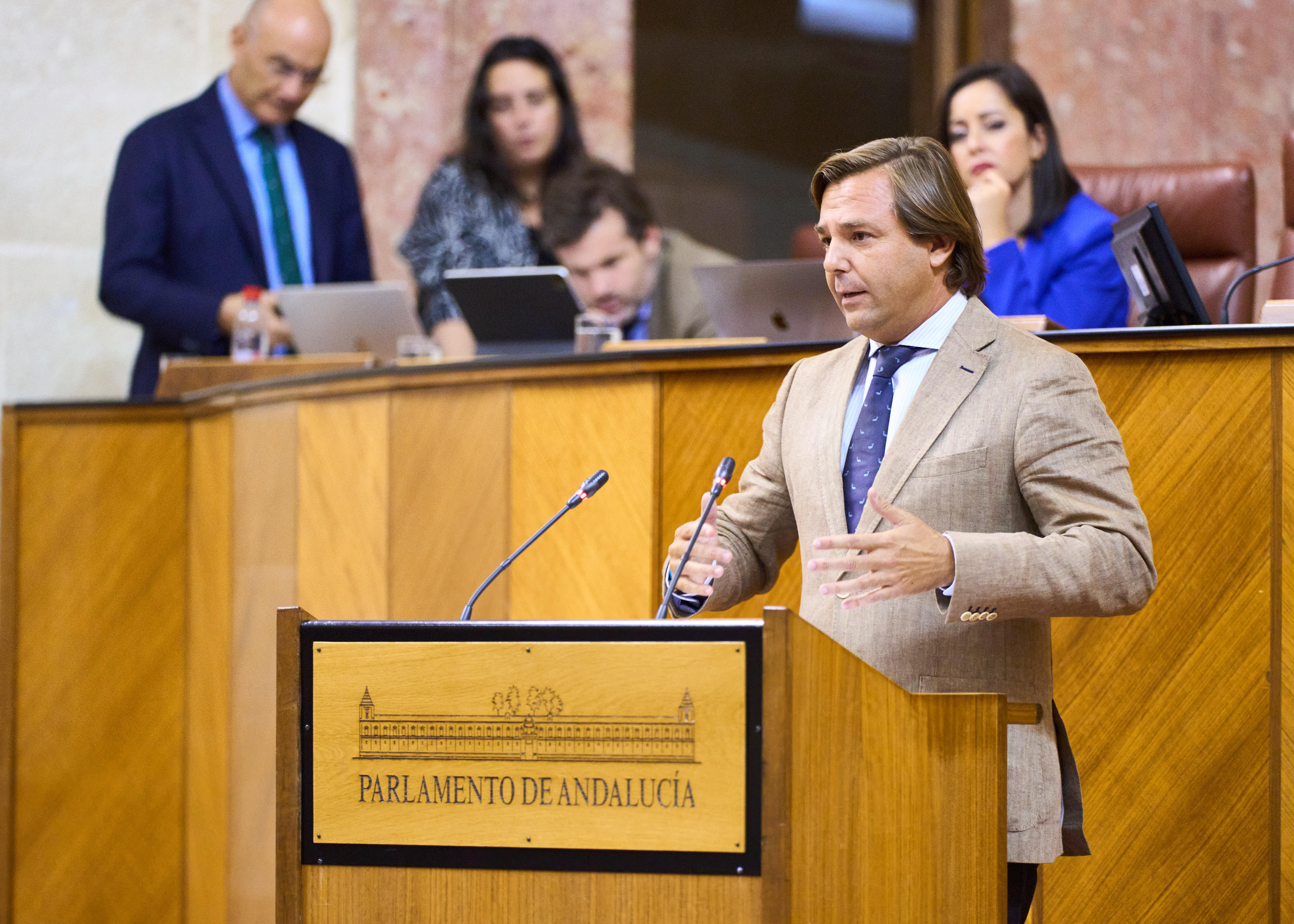  Antonio Repullo, del Grupo Popular, presenta una proposicin no de ley en  defensa del principio de igualdad de todos los espaoles y el rechazo a la amnista o indultos que quebranten la organizacin territorial de Espaa y la unidad nacional