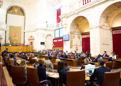   El Pleno del Parlamento de Andaluca, al inicio de la sesin del mircoles 15 de noviembre