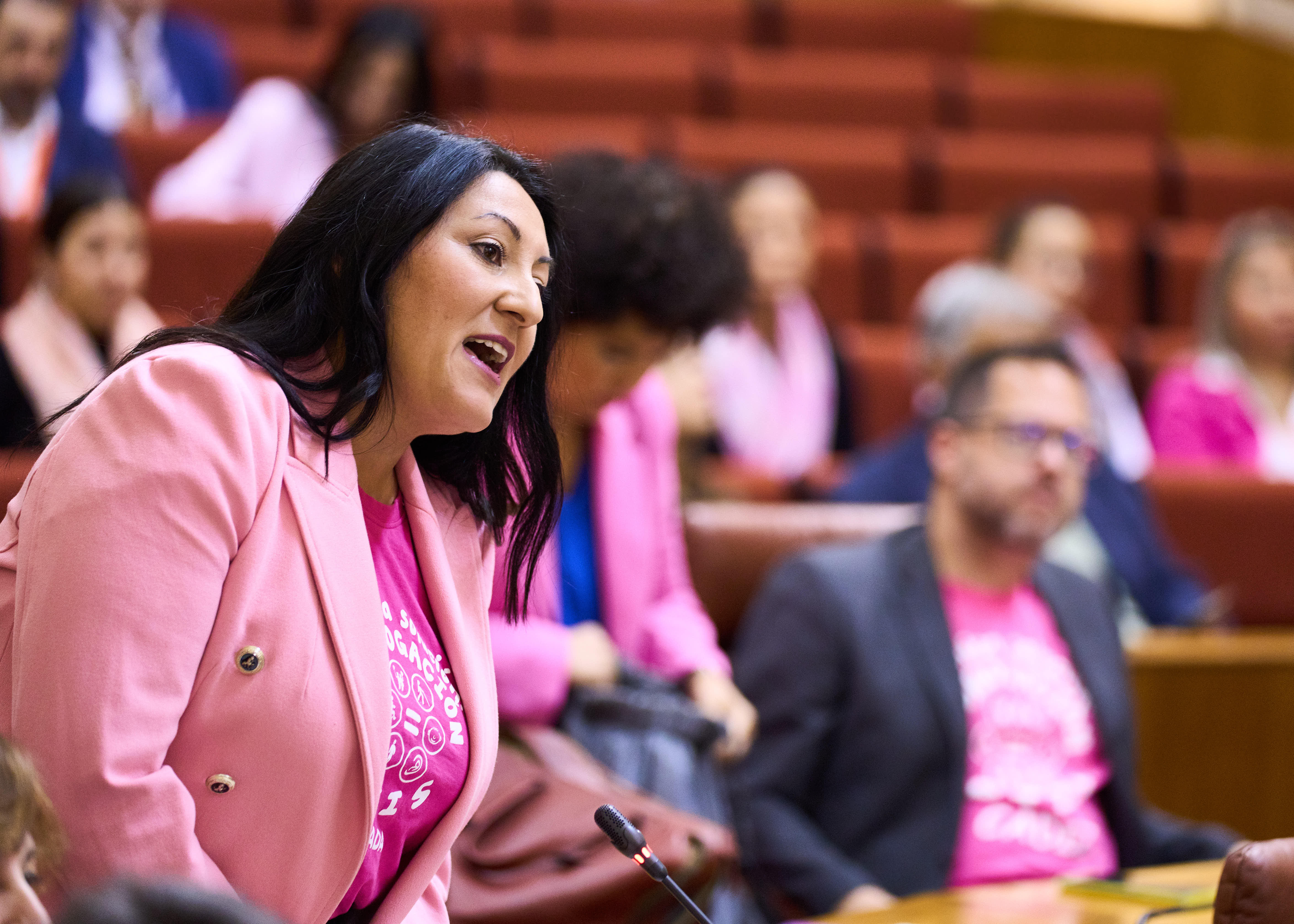  Alejandra Durn, del Grupo Por Andaluca, pregunta sobre Personal Tcnico de Integracin Social a la consejera de Empleo