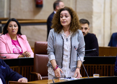 Inmaculada Nieto, portavoz del Grupo Por Andaluca, dirige su pregunta al presidente de la Junta sobre accin del Gobierno en el actual contexto poltico