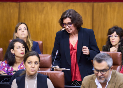  Susana Rivas, del Grupo Socialista, dirige una pregunta a la consejera de Desarrollo Educativo y Formacin Profesional