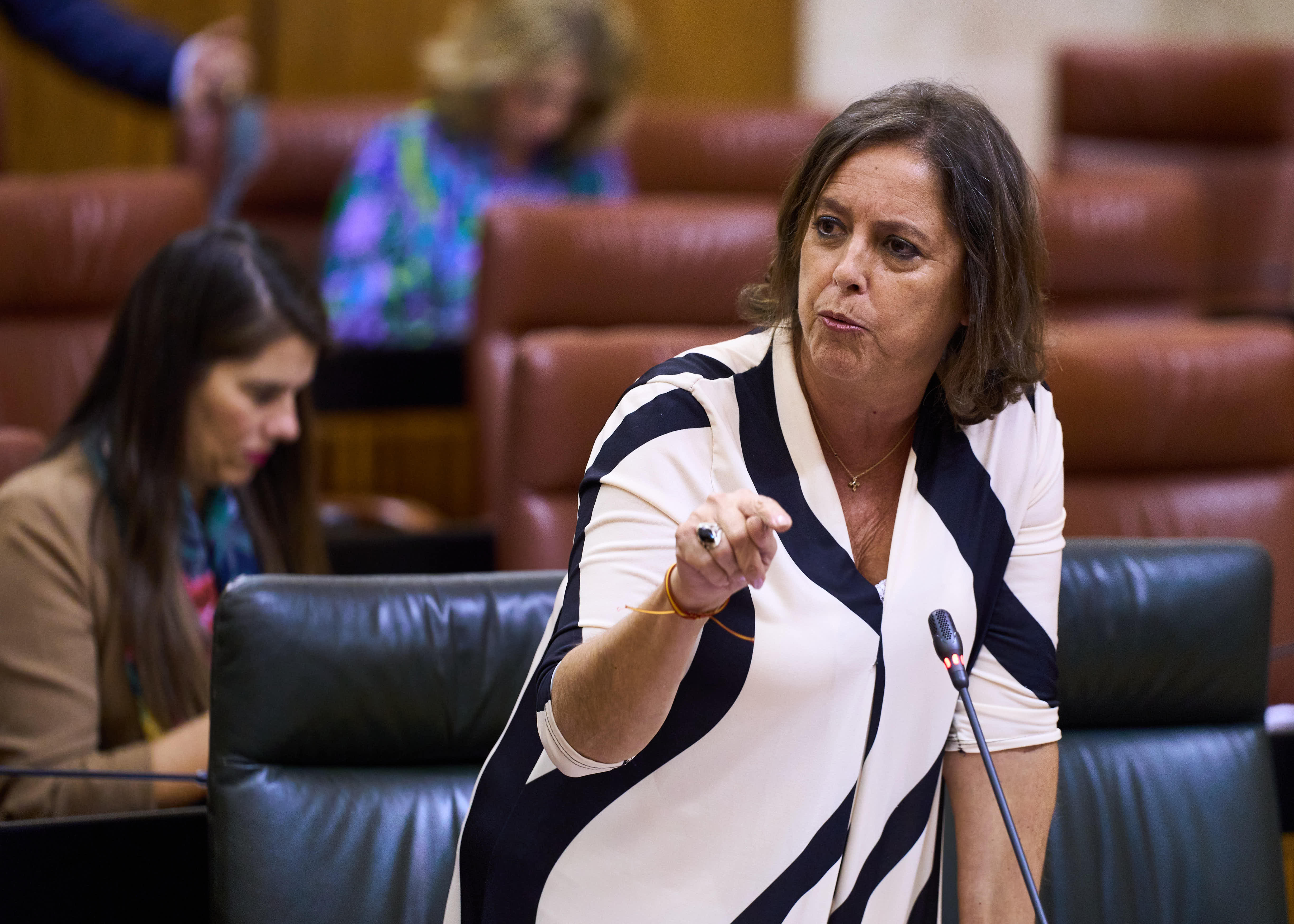 Catalina García, consejera de Salud y Consumo, durante la sesión de control 