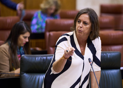 Catalina Garca, consejera de Salud y Consumo, durante la sesin de control 