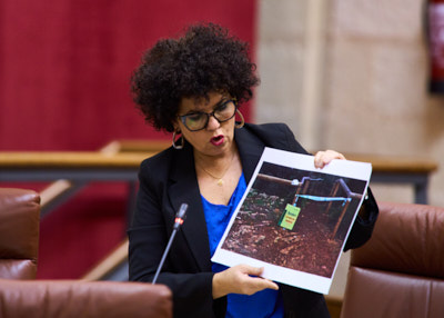 Maribel Mora, del G.P. Mixto-Adelante Andaluca, formula una pregunta 