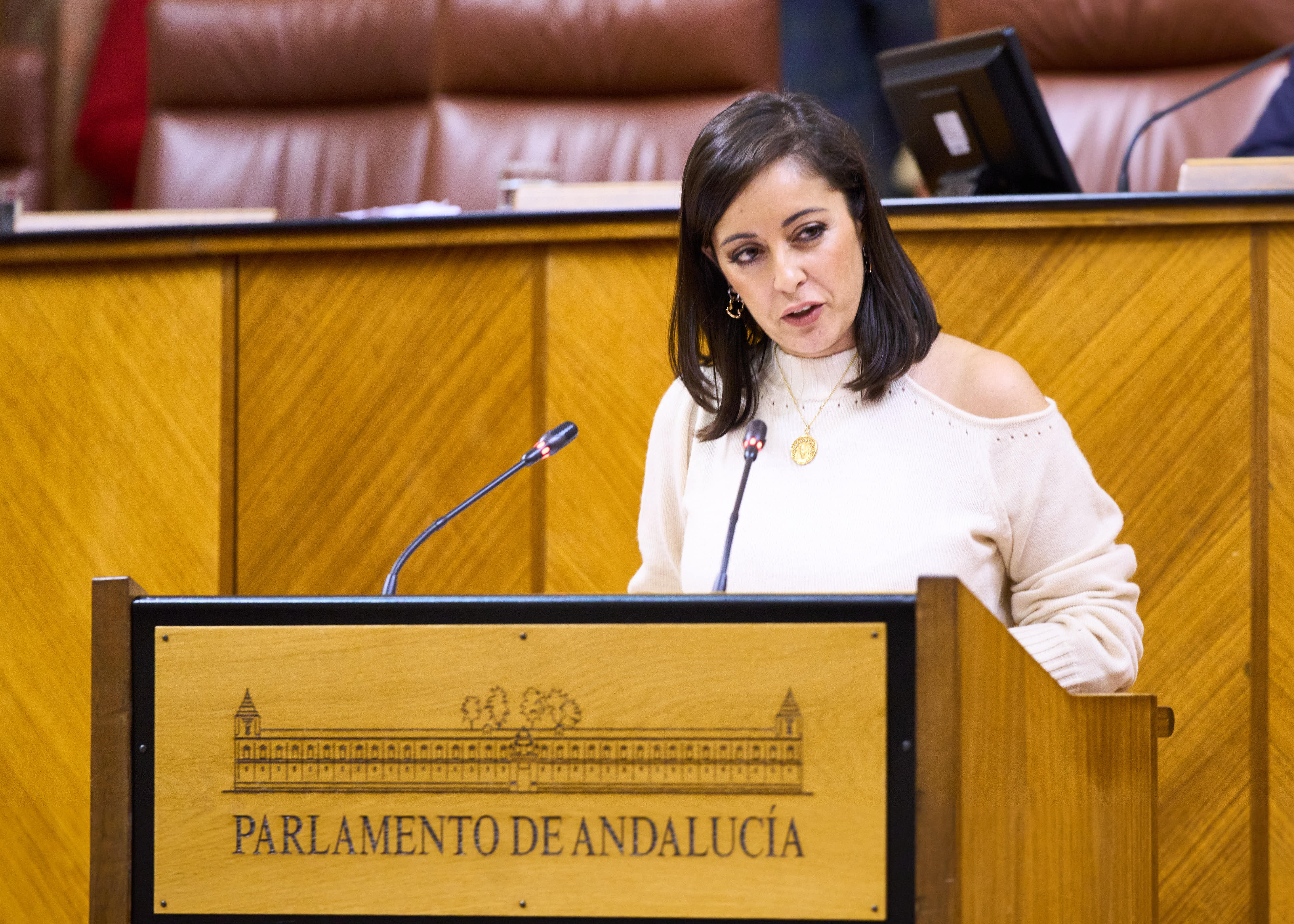  Mara Mercedes Rodrguez presenta al Pleno la proposicin no de ley del G.P. Vox relativa a apoyo a la educacin concertada