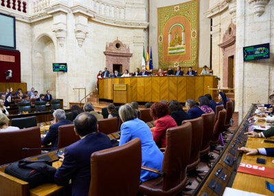   El Pleno del Parlamento, durante una de las votaciones celebradas en la sesin de hoy mircoles