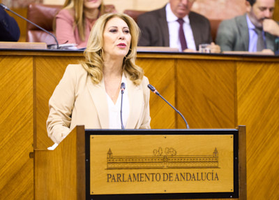   Carolina Espaa, consejera de Economa, Hacienda y Fondos Europeos, presenta ante el Pleno el Proyecto de Ley del Presupuesto de la Comunidad Autnoma de Andaluca para el ao 2024