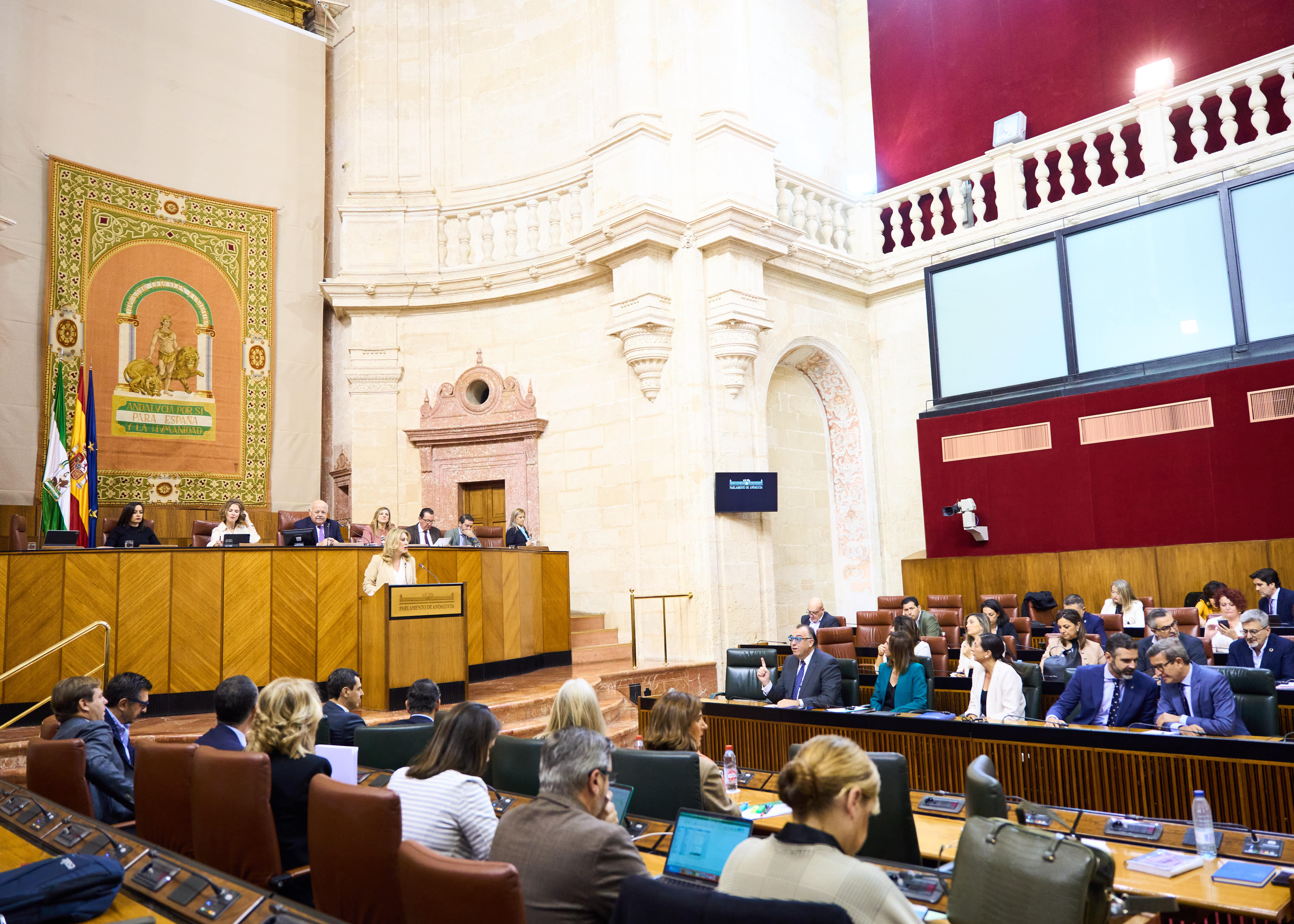   El Pleno, durante la primera intervencin de la consejera de Economa, Hacienda y Fondos Europeos, Carolina Espaa