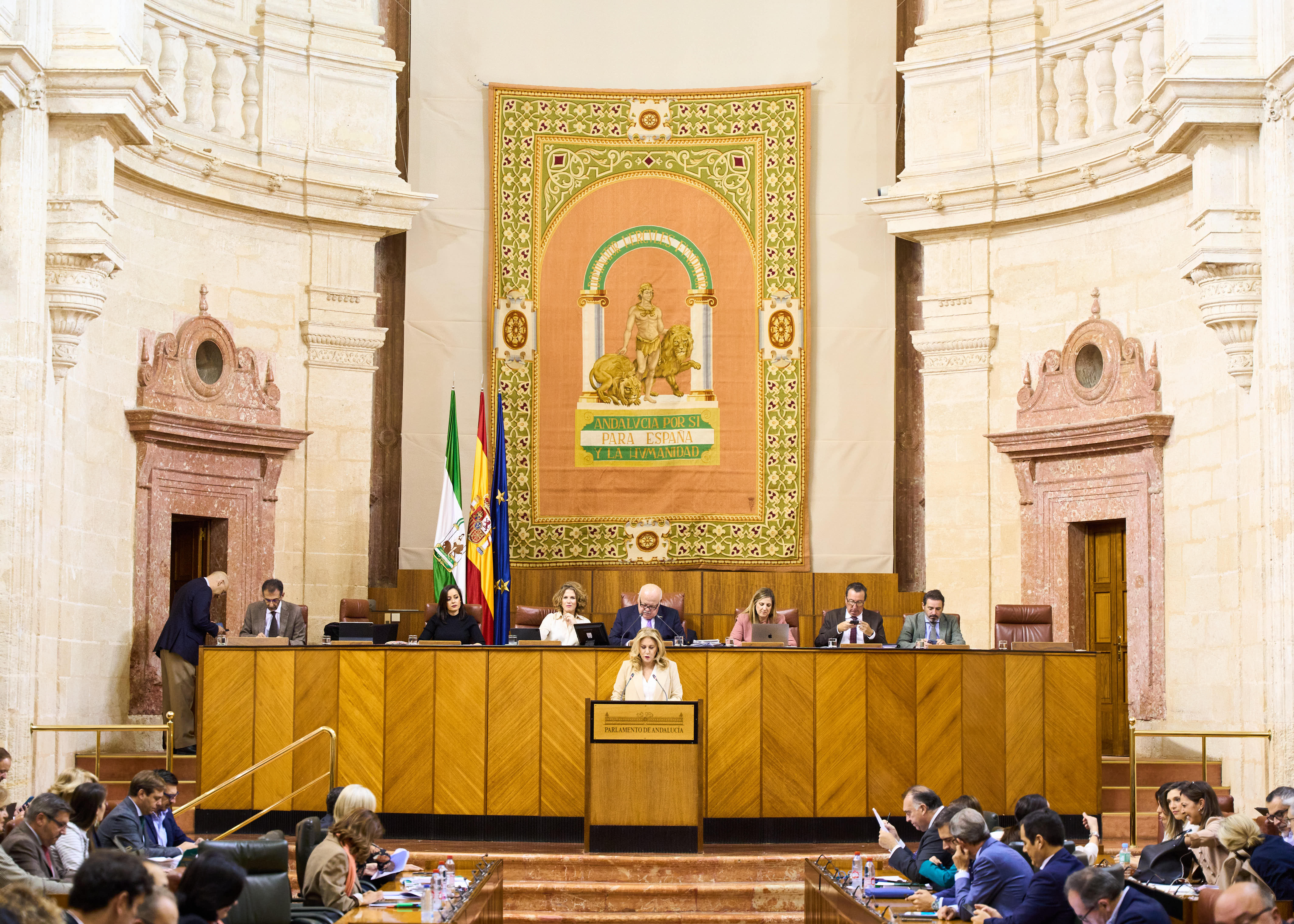   La Mesa de la Cmara asiste a la exposicin de la consejera de Economa, Carolina Espaa, del Proyecto de Ley del Presupuesto 