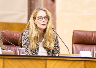 La directora de la Agencia Andaluza de Cooperacin al Desarrollo, Celia Rosell, interviene en el XV Pleno Infantil Unicef del Parlamento andaluz 