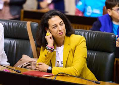  La diputada Mercedes Gmez ha participado en el XV Pleno Infantil en representacin del Grupo Socialista