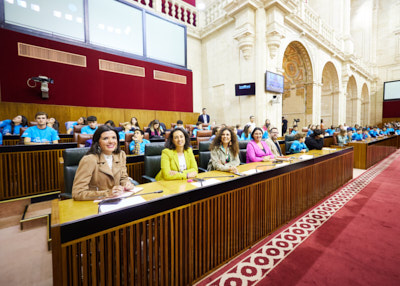  Diputados asistentes que han participado en representacin de los distintos grupos parlamentarios