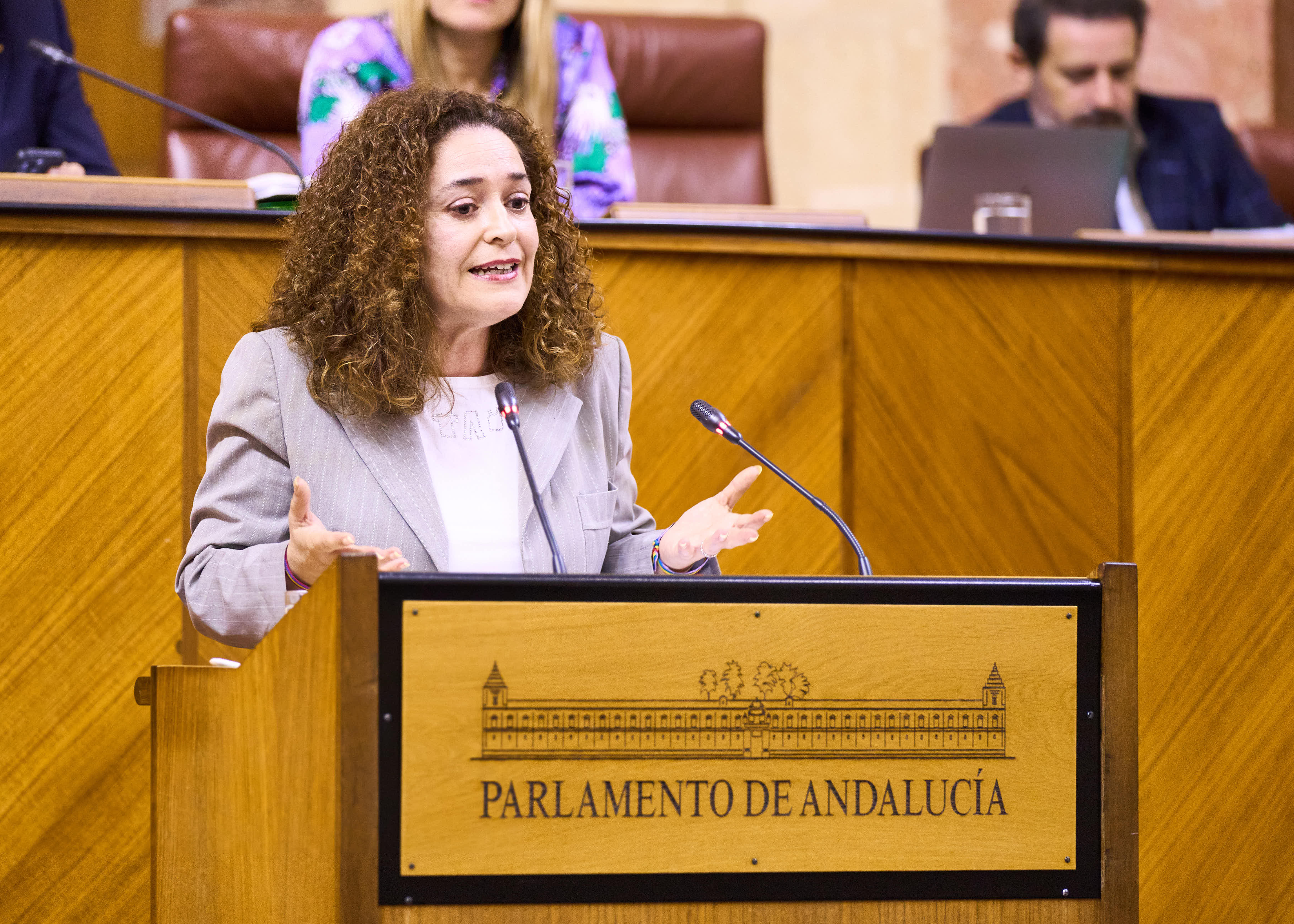  La portavoz del Grupo parlamentario Por Andaluca, Inmaculada Nieto, interviene en el debate