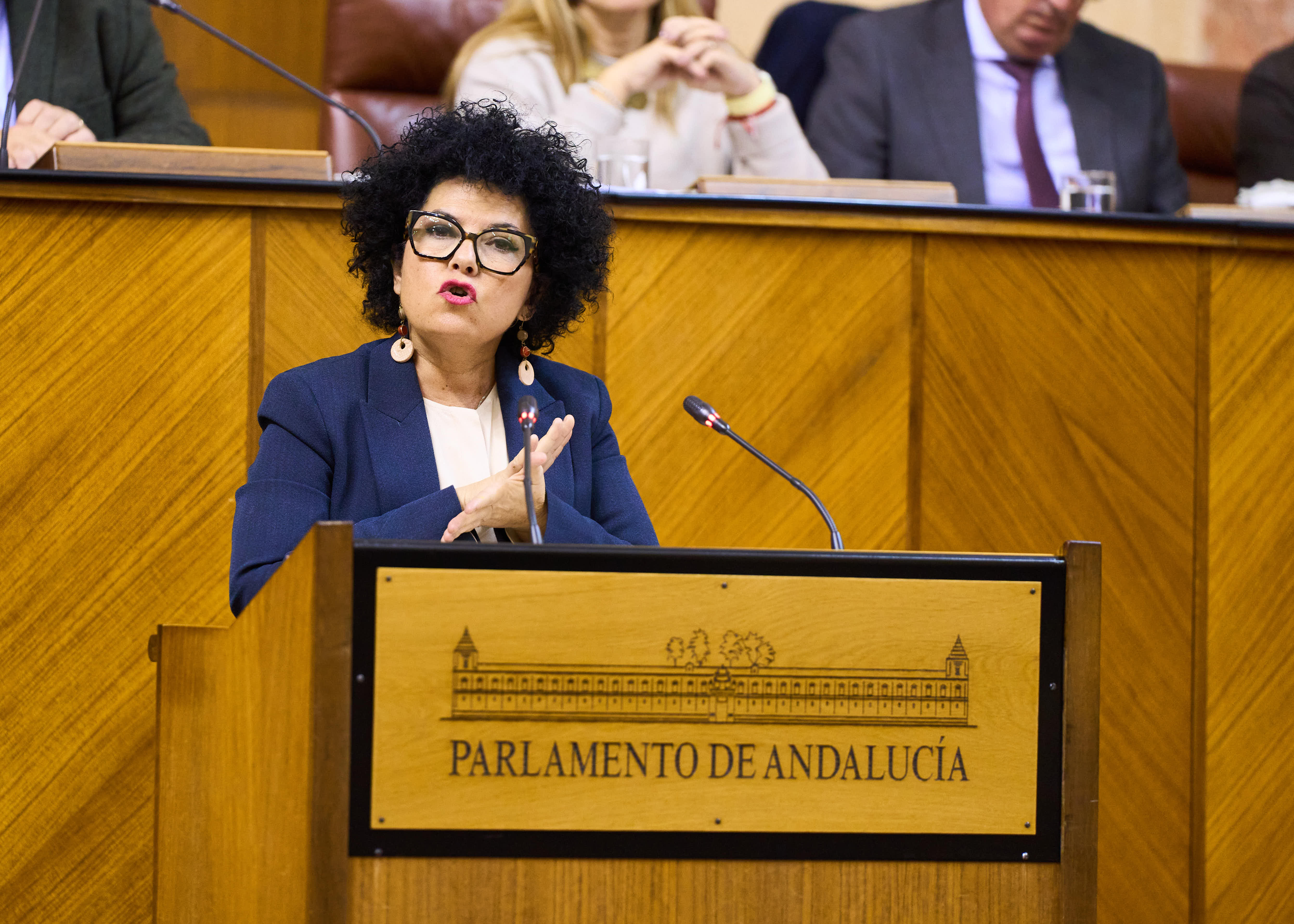   Maribel Mora ha defendido las propuestas de resolucin presentadas por el G.P. Mixto-Adelante Andaluca