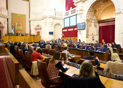  El Saln de Plenos en un momento de la votacin de las ciento setenta y cinco propuestas presentadas por los grupos parlamentarios, treinta y cinco de cada grupo