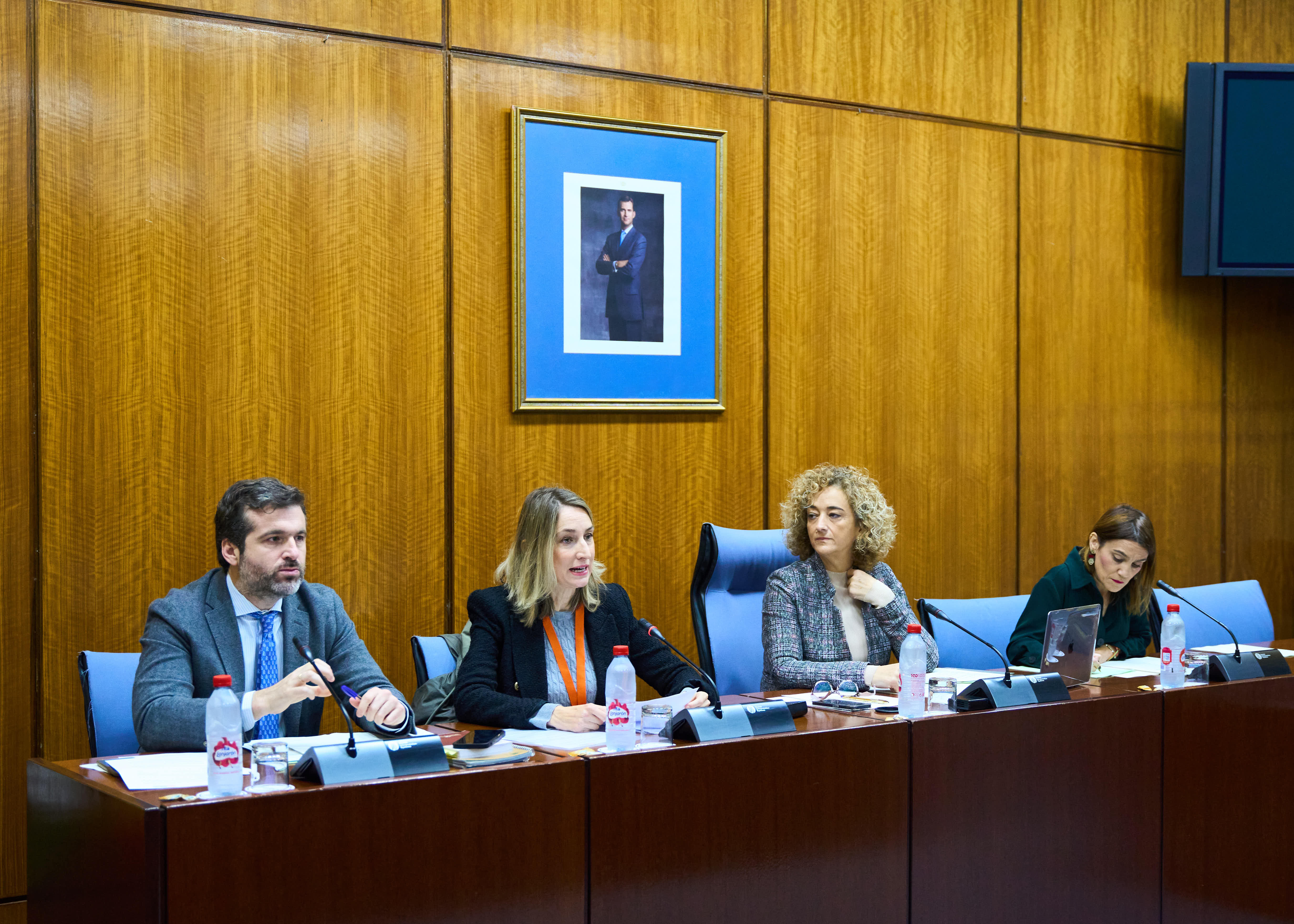   La Mesa de la Comisin sobre Derechos y Atencin a las Personas con Discapacidad durante la comparecencia de la representante de la Asociacin ELA Andaluca, Patricia Garca