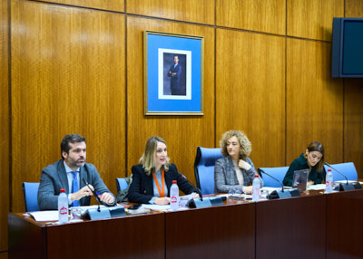   La Mesa de la Comisin sobre Derechos y Atencin a las Personas con Discapacidad durante la comparecencia de la representante de la Asociacin ELA Andaluca, Patricia Garca