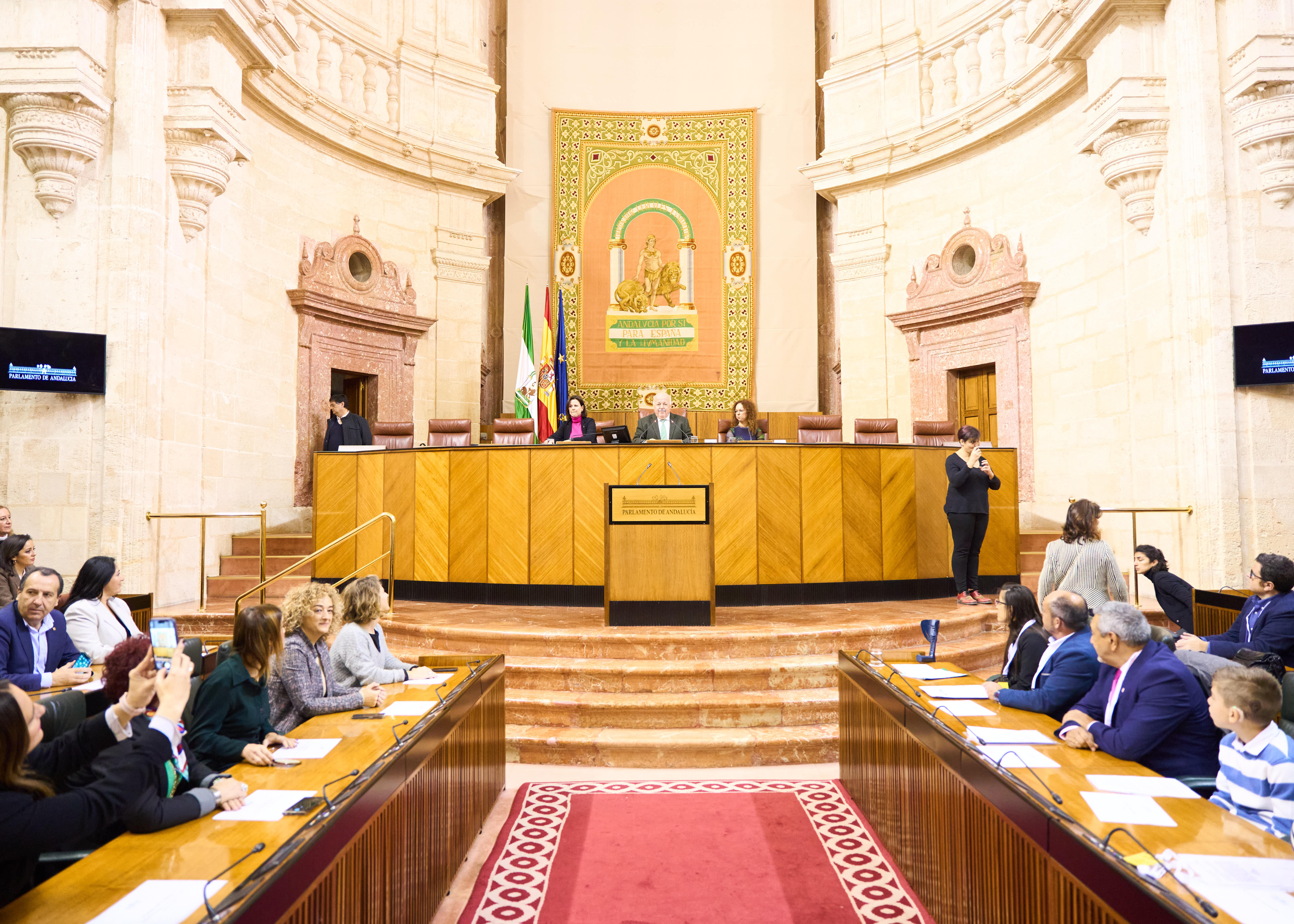   El Saln de Plenos con la intrprete del lenguaje de signos durante el acto por el da de las personas con discapacidad 