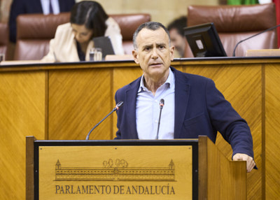Pablo Venzal, portavoz adjunto del Grupo Parlamentario Popular, en el debate de toma en consideracin de la Proposicin de Ley 12-24/PPL-000001, relativa a Consejo Consultivo de Andaluca