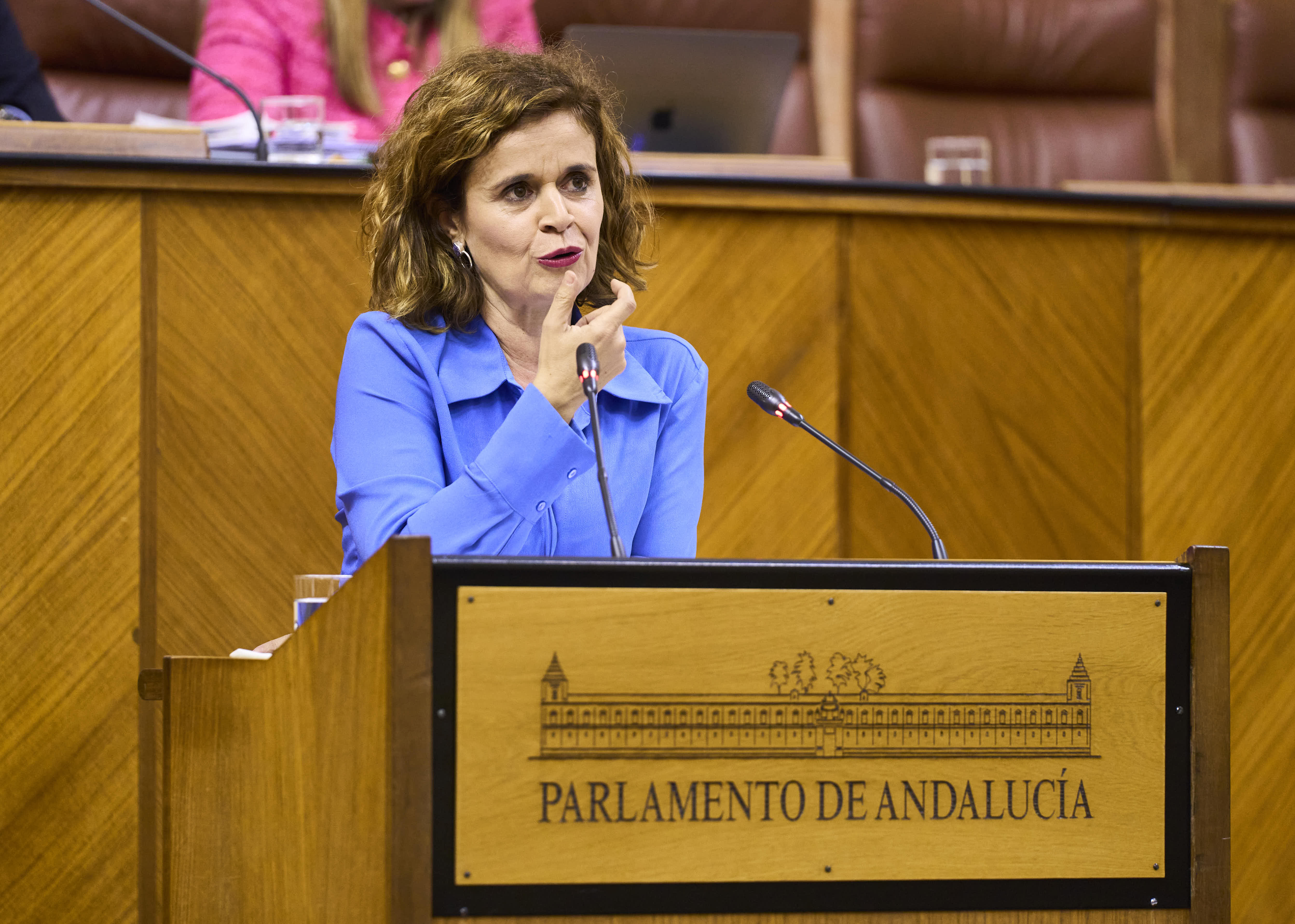  Esperanza Gmez defiende la posicin del Grupo Por Andaluca en cuanto a la toma en consideracin de la Proposicin de Ley 12-24/PPL-000001, relativa a Consejo Consultivo de Andaluca