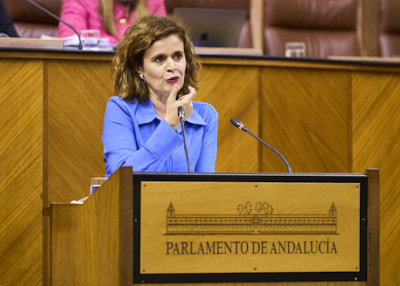  Esperanza Gmez defiende la posicin del Grupo Por Andaluca en cuanto a la toma en consideracin de la Proposicin de Ley 12-24/PPL-000001, relativa a Consejo Consultivo de Andaluca