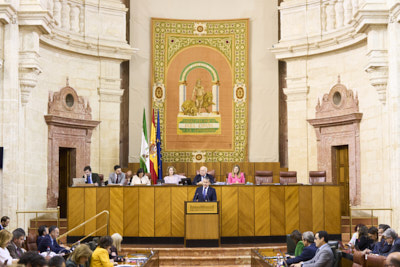   El consejero de la Presidencia, Antonio Sanz, se dirige al Pleno para solicitar la convalidacin del Decreto Ley 3/2024, de 6 de febrero, por el que se adoptan medidas de simplificacin y racionalizacin administrativa 