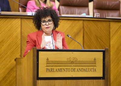   Maribel Mora, del G.P. Mixto-Adelante Andaluca, posiciona a su grupo en relacin con la convalidacin del Decreto Ley 3/2024, de 6 de febrero, por el que se adoptan medidas de simplificacin y racionalizacin administrativa 