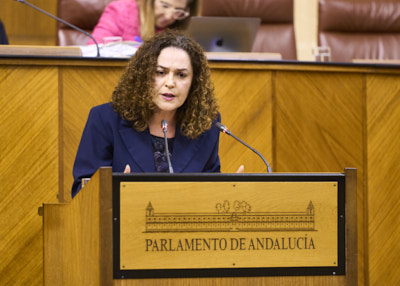  Inmaculada Nieto, portavoz del Grupo Por Andaluca, durante su intervencin en el debate de convalidacin del Decreto Ley 3/2024, de 6 de febrero, por el que se adoptan medidas de simplificacin y racionalizacin administrativa 
