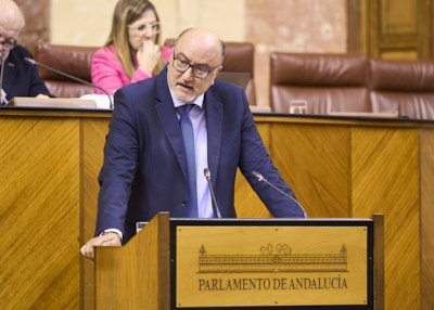   Ricardo Lpez Olea, portavoz adjunto del Grupo Vox, en un momento de su intervencin en relacin con la convalidacin del Decreto Ley 3/2024, de 6 de febrero, por el que se adoptan medidas de simplificacin y racionalizacin administrativa