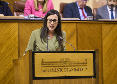  Roco Arrabal, del Grupo Socialista, durante su intervencin sobre las actuaciones en materia de seguridad en Andaluca tras los hechos acaecidos en Barbate