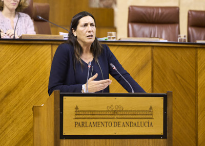  La consejera de Inclusin Social, Juventud, Familias e Igualdad, Mara Dolores Lpez, durante su comparecencia para informar sobre el plan de choque para la tramitacin de expedientes de valoracin de la discapacidad en Andaluca