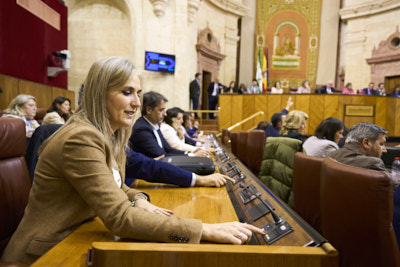 El Pleno del Parlamento, durante una de las votaciones celebradas a la finalizacin de la sesin del mircoles 21 de febrero