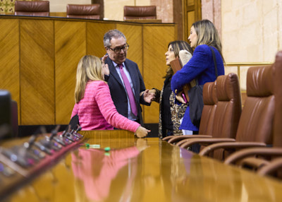 El portavoz del Grupo Socialista, Juan Espadas, conversa con su portavoz adjunta, ngeles Frriz, la vicepresidenta segunda de la Mesa, Irene Garca, y la diputada de su grupo Mara Mrquez, tras la finalizacin de la sesin plenaria 