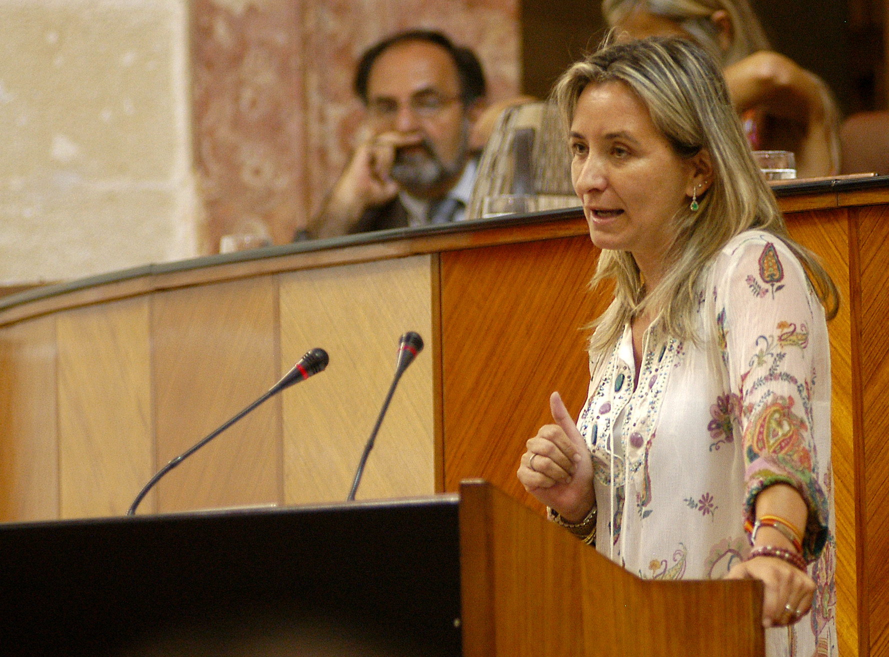 Carolina Gonz�lez Vigo, portavoz del Grupo Popular en el debate final de la proposici�n de Ley de Aguas