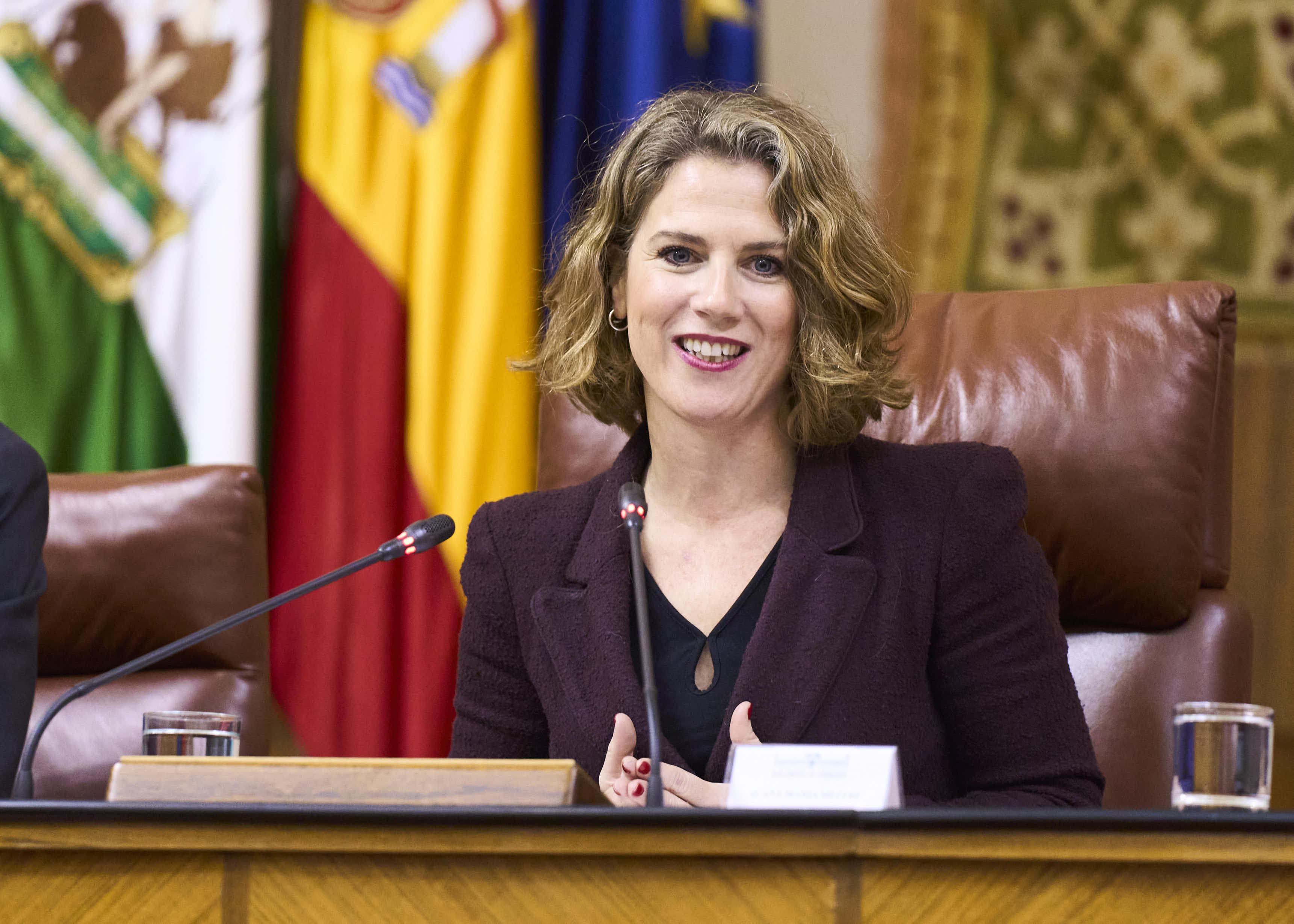  Ana Mestre, vicepresidenta primera, se dirige a los estudiantes que participan en la Simulacin del Parlamento andaluz